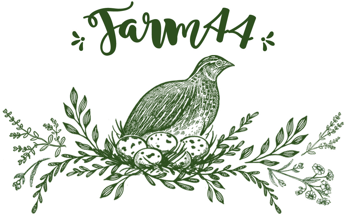 Farm44 logo