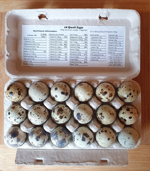 Farm fresh quail eggs (18 per pack) – Farm44